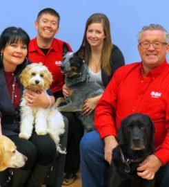 Mr. Rooter Plumbing of Toronto ON