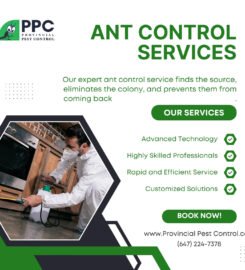 pest control